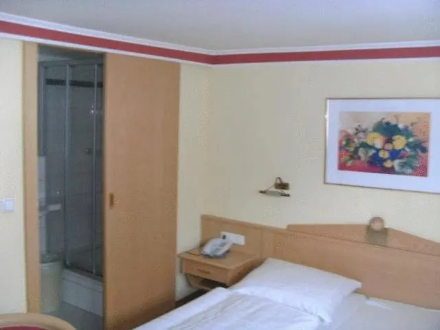 Steiner Bed and breakfast 3*